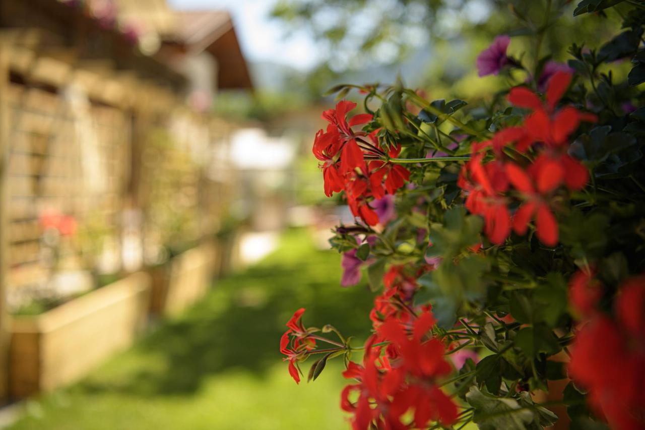Alpen-Nest Grossarl Apartment ภายนอก รูปภาพ